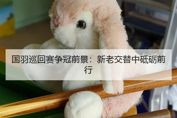 国羽巡回赛争冠前景：新老交替中砥砺前行